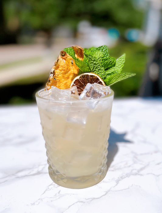 Dehydrated Lime Wheel Garnishes